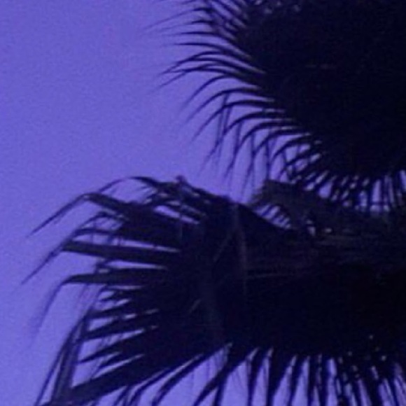 Meet your Posher, Trina - Picture 1 of 1